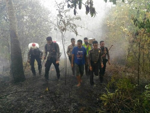 Seminggu Terakhir, Kasus Kebakaran Lahan di Kuansing Meningkat Drastis