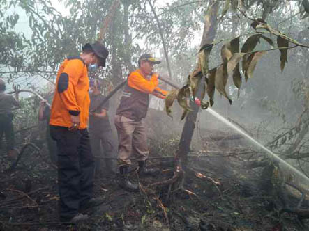 Terbakar, Bupati Pelalawan Minta Pemilik Tenggelamkan Lahan Gambut PT PMBN