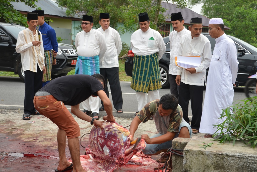 Penjabat Bupati Bengkalis Tinjau Sejumlah Tempat Pemotongan Hewan Kurban 