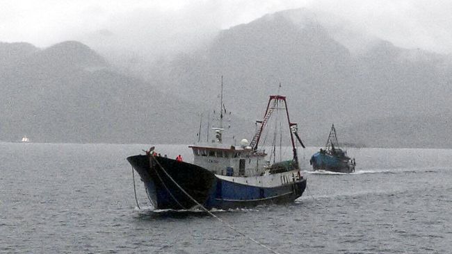Bayang China dalam Mimpi Indonesia Jadi Poros Maritim Dunia