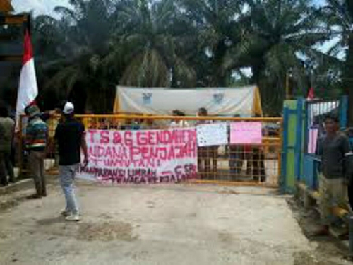 2000 Hektar Lahan Garapan PT. Gandaerah Hendana Diluar HGU 