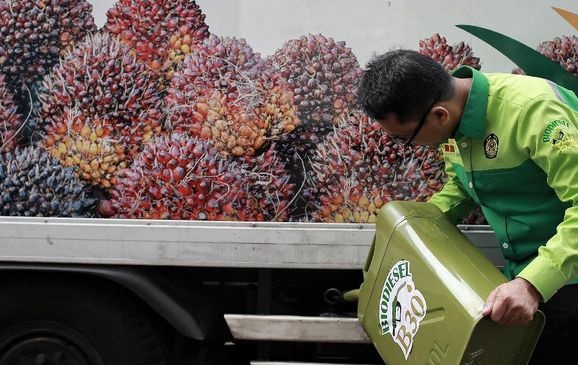 Biodiesel B30 Disebut Buat Jejak Karbon Lebih Tinggi