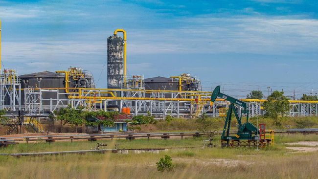 Blok Rokan Setor Rp2,7 T ke Negara usai Dikelola Pertamina