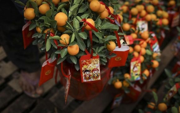 Cap Go Meh dan Ritual Lempar Jeruk untuk Dapat Jodoh