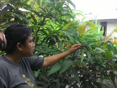 Aksi Pencuri Resahkan Warga Duri Timur, Bengkalis 