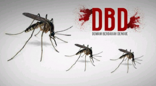 Kasus DBD di Kabupaten Pelalawan Tertinggi di Pangkalan Kerinci