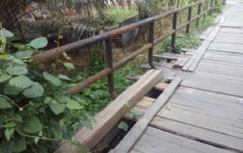 Soal Jembatan Suak Makmur yang Terancam Ambruk, Ini Jawaban Kadis BMP Siak