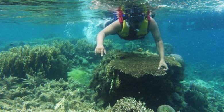 Asyiknya Snorkeling di Kepulauan Seribu 