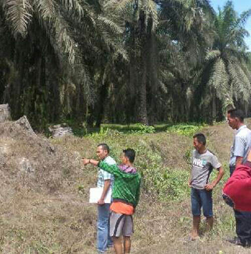 Bersihkan Pelepah Sawit, Buruh Sawit PT. Torganda Rohul Tewas Kesetrum