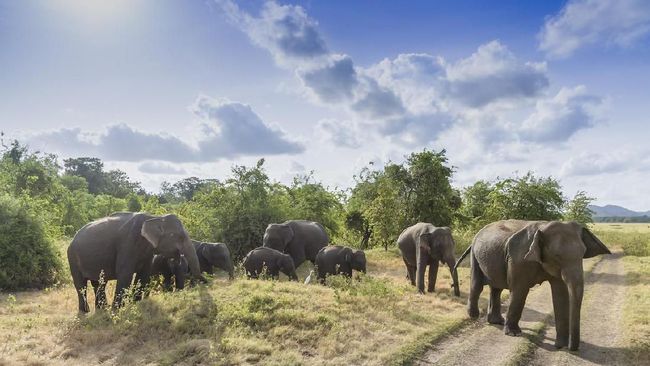 6 Tips Aman Bertualang di Taman Nasional 