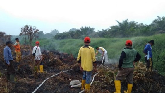 Plt Camat Bangko : Menjelang Gubernur Riau Safari Ramadhan ke Rohil, Titik Api Harus Nihil