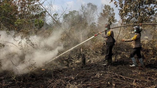 Ribuan Personel Gabungan Padamkan Karhutla di 5 Provinsi
