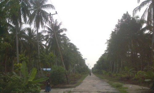 Di Tanjungbakau Rangsang, Banyak Tiang Listrik Miring dan Membahayakan Warga