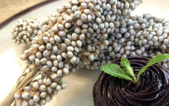 Sorgum, Makanan Pengganti Nasi yang Terlupakan 