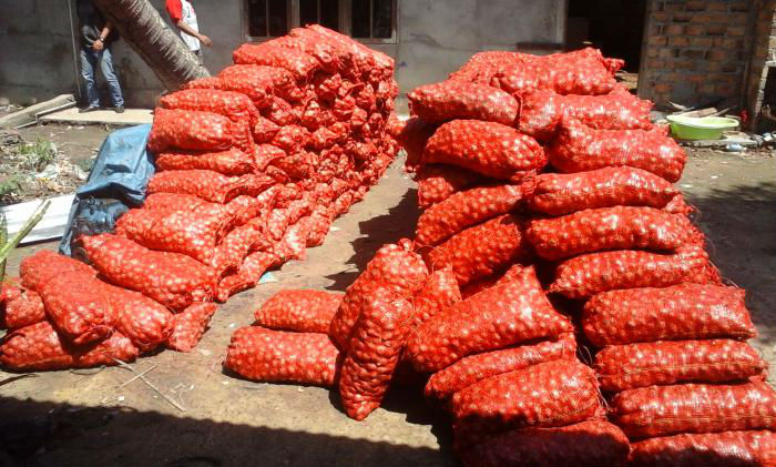 Kodim 0303 Bengkalis Amankan Ratusan Karung Bawang Merah Ilegal 