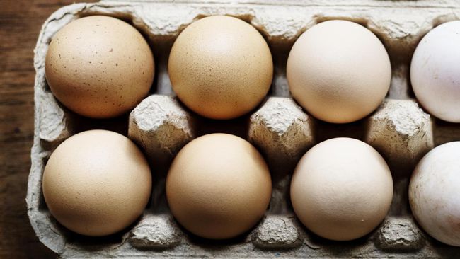 Telur Ayam di Inggris Dapat Membunuh Sel Kanker