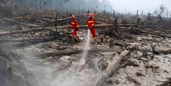 Cerita Hidayat Tempuh 14 Jam Melalui Jalur Darat karena Kabut Asap