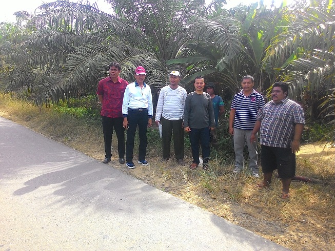 BLPP Dan BPTP Riau Lakukan Pendamping Petani Sawit 
