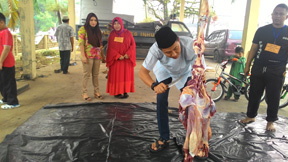 Berbagi, Polres Inhu Kurban 8 ekor sapi dan 1 ekor kambing