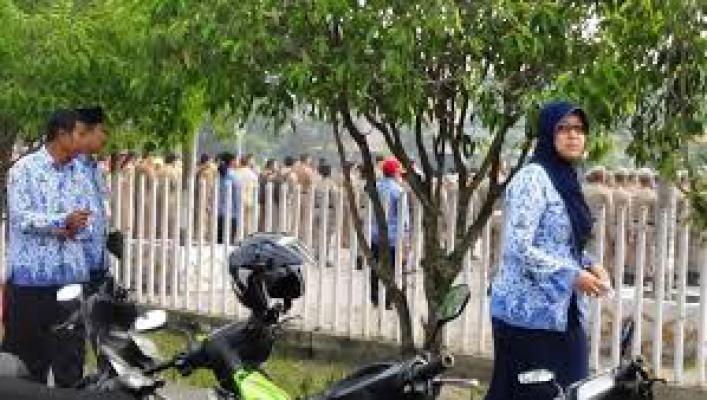 Parah Disinyalir Banyak Hononer Fiktif di Pemko Dumai 