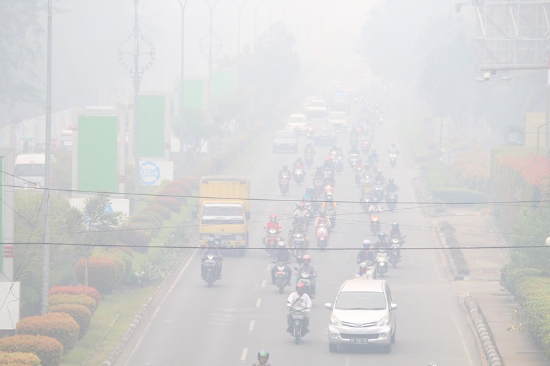 Kabut Asap di Kaltim Limpahan dari Daerah Lain