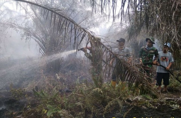 TNI Berjibaku Padamkan Karhutla di Rokan Hilir 