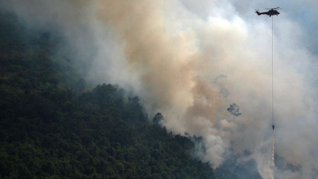 Bakar Hutan, Perusahaan Dihukum Ganti Rugi Rp1 Triliun 