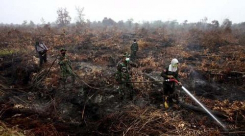 Kebakaran Lahan tak Kunjung Reda, 14 KK Warga Labuhan Tangga Besar Rohil Mengungsi