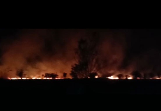Lahan di Pinggir Sungai Nilo Terbakar 