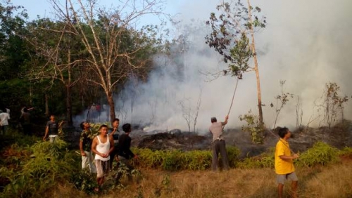 Mobil Damkar Tak Bisa Masuk, Kebakaran Lahan di Telukkuantan Kian Meluas