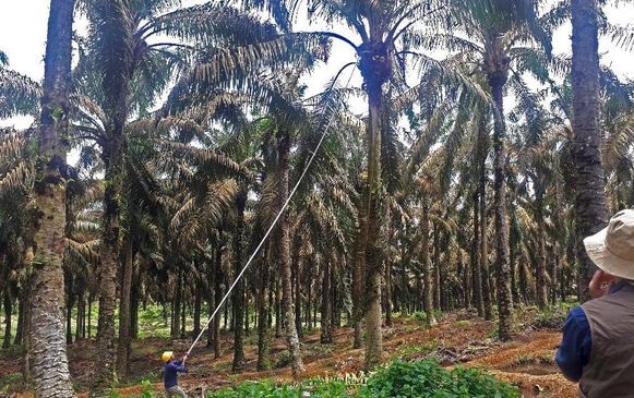 Pemerintah Didesak Blak-blakan Buka Semua Dokumen HGU Lahan