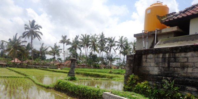 Masalah Alih Fungsi Lahan: Jokowi & Prabowo Sepakat Produktivitas Petani Jadi Solusi 