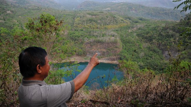 LSM: 6,3 Juta Hektare Kawasan Hutan Lindung Jadi Area Tambang