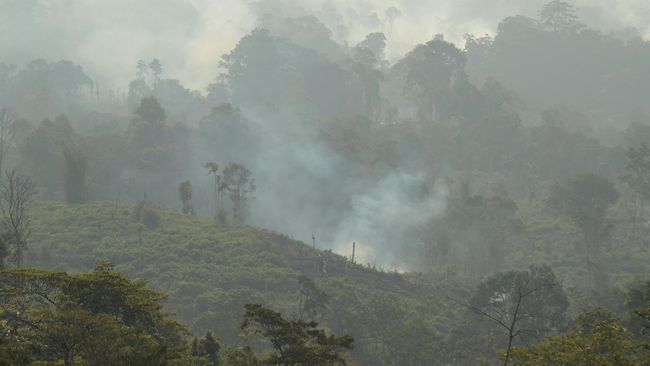 Suku Anak Dalam Jambi Bentuk Satgas Siaga Kebakaran