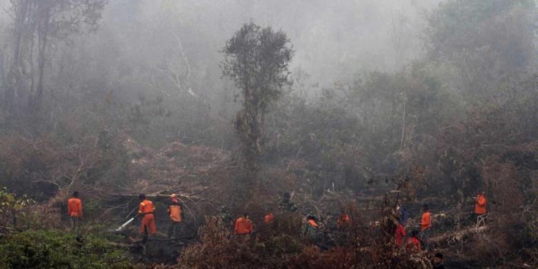 Kasus 8 Perusahaan yang di SP3 Polda Riau, Terbakar Lagi 