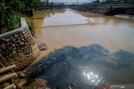 DLH Dumai Temukan Dugaan Pencemaran PT EDI