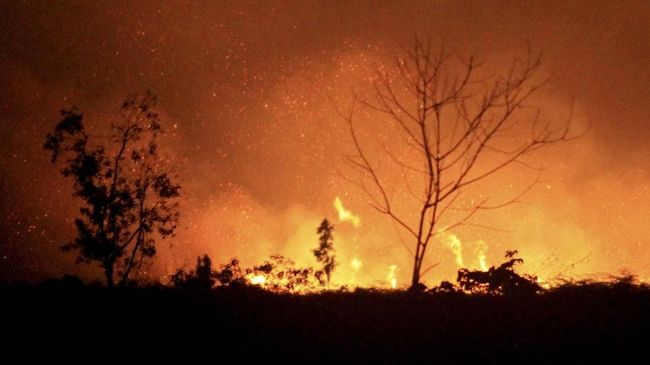 Pemprov Sumsel Tetapkan Siaga Darurat Karhutla pada April 