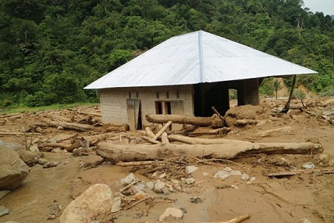 Banjir Bandang di Sumbar Diduga Dipicu Pembalakan Liar