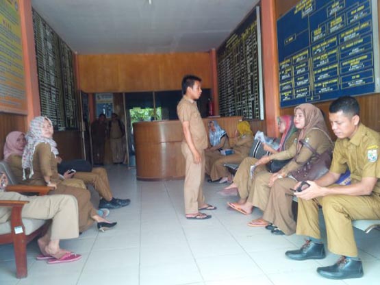 Gedung Terbakar, Puluhan Pegawai Disdik Pelalawan Terlantar 