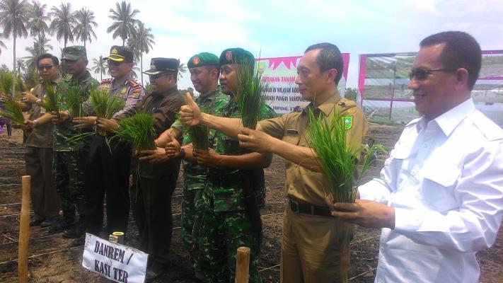 Pangdam dan Bupati Meranti Tanam Perdana Cetak Sawah di Rangsang
