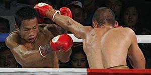 Daud Yordan, Bakal Naik Ring Lagi 