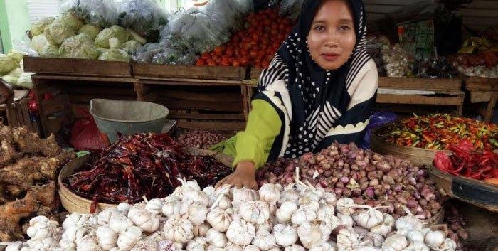 62 Ribu Ton Bawang Putih China dan India Bakal Guyur RI