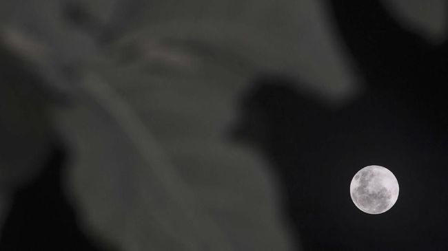 NASA Ungkap Rencana Kirim Astronaut ke Bulan pada 2024 