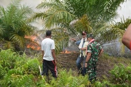 Sinergitas Pemkab Rohil Bersama Satgas Padamkan Karlahut