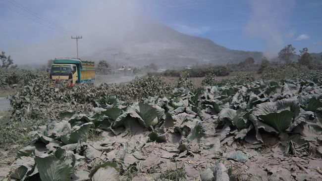 Sekitar 163 Kepala Keluarga Tak Masuk Data Relokasi Sinabung