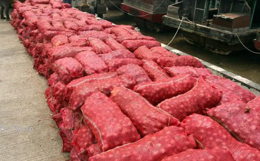 Polres Siak Musnahkan 9 Ton Bawang Merah Ilegal dan Sabu-sabu Seharga Rp3 M