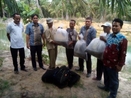 Gapoktan Jaya Mandiri Rohil Terima Bantuan Benih Ikan dan Pakan