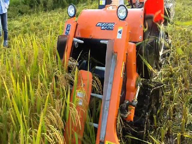 Buruh Bawon Mengeluh 