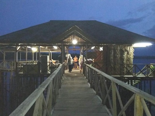 Berburu Kunang-kunang di Bintan 