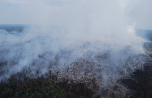 Titik Api Kembali Muncul di Pulau Rupat, Ini Lokasinya
